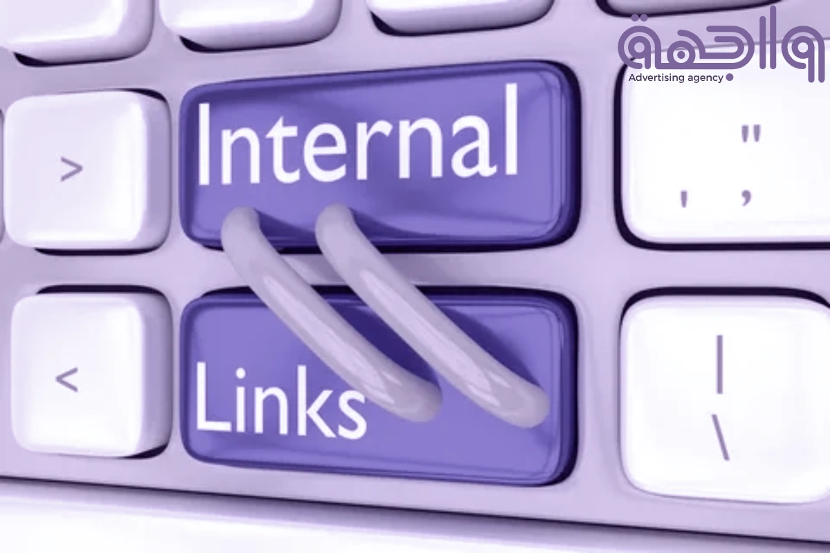 Internal links, their importance and the best strategy
